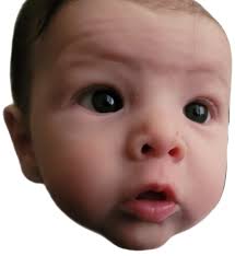 Carey Morgan (@careymorgann) • Instagram photos and videos