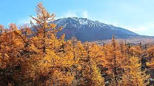 Mount Fuji Travel Guide What To Seen And Do Around Fujisan