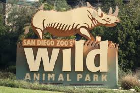 San Diego Zoo S Wild Animal Park Wild Animal Park Animals Wild San Diego Zoo