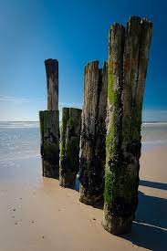 Pin On Photography Stuff