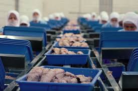 In addition to being very talked about with the #kolayaçiliyor hashtag on twitter, they gathered a lot of sympathy. Dardanel Canned Fish Factory Worker It Feels More Like A Prison Than A Factory Evrensel