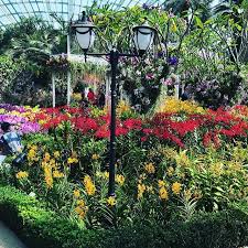 Discover The Splendour Of Peranakan Style Gardens In The Flower Dome Tohgarden Singapore Tropical Peranakan Sgf Singapore Garden Orchids Garden Orchids
