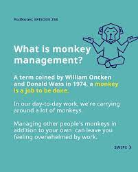 How to manage your monkeys | Amazing If