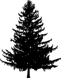 This free icons png design of starry christmas tree silhouette png icons has been published by iconspng.com. Silhouette Tree Png Images Tree Silhouette
