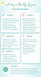 Many baby bathtubs fit in sinks, but not all baby bathtubs are shaped like flowers. 8 Month Old Baby Development Milestones Pampers Com