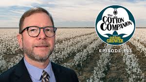 Rain and Risk: What's your Dryland Cotton Plan?