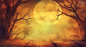 З них два затемнення сонця — повне й кільцеподібне. Sonyachni I Misyachni Zatemnennya Lita 2020 Roku Prognoz Astrologini Marini Skadi Astrologiya Tsn Ua