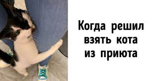 9 oshibok pri planirovanii kuhni iz za kotoryh vas zhdut beskonechnaya uborka i hlopoty podtyanutaya kozha lico istoricheskie fotografii