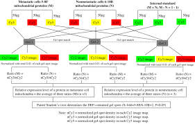 The Experimental Flow Chart For Two Dimensional Difference