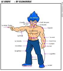 Acestea asigură homeostazia și viabilitatea corpului uman. Premiul Ii Categoria AplicaÈii EdiÈia 2018 Corpul Uman InvaÈÄ SÄ VorbeÈti Despre Corpul Uman In Limba FrancezÄ Digitaliada