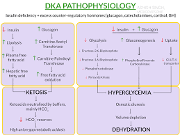 Insulin normally plays a key role in helping sugar (glucose) — a major source of energy for. Medicowesome Pathophysiology Diabetic Ketoacidosis