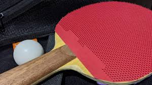 卓球 粒 高 戦術