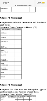 Solved 9 28 Lllte Elearn Southwest Tn Edu Chapter 5 Works