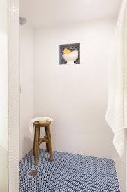 I chose penny tile for the floor of or newly explanded master shower (with gray grout). Blue Penny Tile Shower Floor Novocom Top