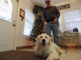 Maybe you would like to learn more about one of these? All Pets Veterinary Medical Center 111 Rock Prairie Rd College Station Tx Veterinarians Mapquest
