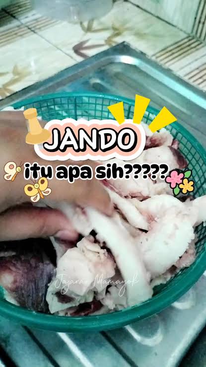 Jando Sapi