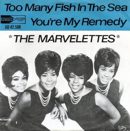 Too Many Fish In The Sea / You're My Remedy