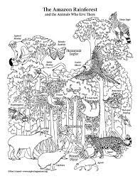 You need to enable javascript to run this app. Amazon Rainforest Layers Coloring Page