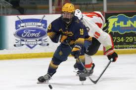 Woodhaven boys run 1st at Gabriel Richard Downriver Invitational