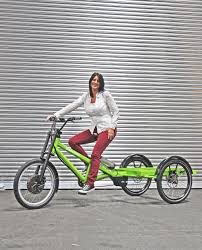 Jewo Lastenrad 500watt Cargo Bike Trike Bicycle Tricycle Bike