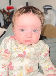 What colour would you say this is? 5 months old