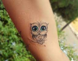 Significado Da Tatuagem De Coruja | Tatuagem coruja, Tatuagem de coruja, Significado de tatuagem de coruja