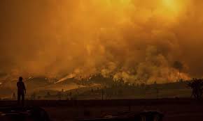 Check spelling or type a new query. More Than 60 Wildfires Rage Across Us West Including Blaze Bigger Than Portland Climate Change The Guardian