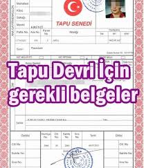 Ev alma sürecini sorunsuz atlatabilmek için gerekli işlemleri ve gereken belgeleri bilmeniz gerekir. Tapu Devrinde Gerekli Evraklar Tuzla Tapu E Randevu Nasil Alinir