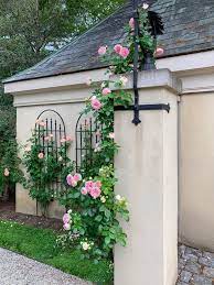 Over The Moon About Roses Private Newport In 2021 Rose Garden Design Climbing Roses Trellis Rose Trellis