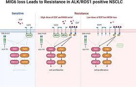 Image result for ROS1 Inhibitor