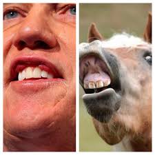 Image result for john elway horse teeth