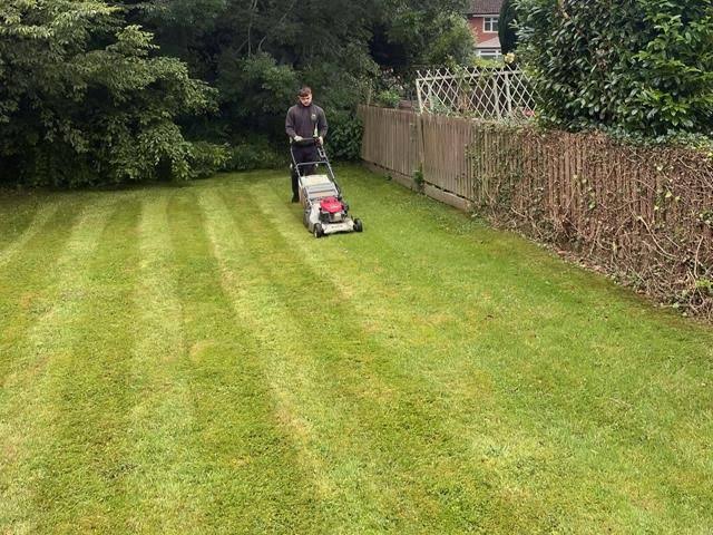 Lawn moss removal and scarifying in a Thamesmead garden