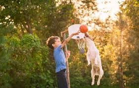 Sie steigern das gefühl der zusammengehörigkeit, machen unheimlich viel. Spiele Fur Den Garten Damit Spielen Alle Kinder Gerne Familie De