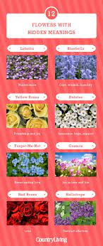Flowers that symbolize secret love. 12 Flowers And Their Meanings Flower Color Symbolism