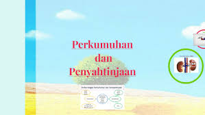 Kulit merupakan garis depan pertahanan tubuh manusia dari patogen, zat kimia, sinar matahari dan gangguan fisik lainnya serta menjadi. Sains Tahun 4 Perkumuhan Dan Penyahtinjaan Kn Quiz Quizizz