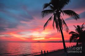 Maybe you would like to learn more about one of these? Sunset Over The Sea With Silhouette Of Palm Trees And Tourists At Beach Sanya China Pyrography By Shuang Li