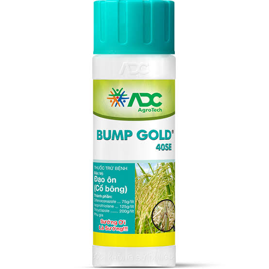 Bump gold 40SE