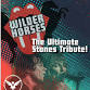 WIlder Horses - A Tribute to the Rolling Stones