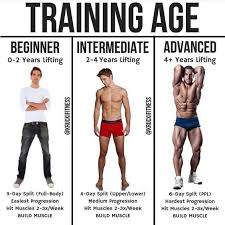 Are You Ready To Go From Newbie To Pro Then Follow This 8 Week Plan Gymguider Com Beginner Workout Program Weight Training Workouts Gym Workout Tips