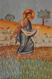 The Seed Of The Kingdom