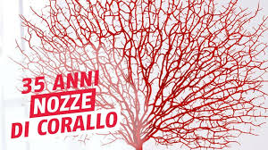 Buon anniversario di nozze a due sposini ancora in luna di miele. Frasi Per Anniversario Di Matrimonio 35 Anni