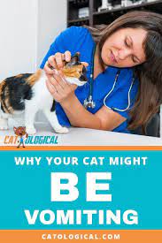 Here Are Some Reasons Why Your Cat Might Be Vomiting And What To Do About It Help Your Kitty Stop Throwing Up By Ruling O Cat Care Cat Medicine Cat Training