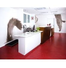 Our convenient pet hospitals are located in select petsmart stores. 20 Veterinary Practice Ideas Veterinary Hospital Design Pet Clinic