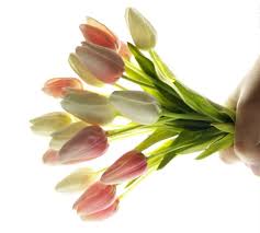 Check spelling or type a new query. Artificial Flowers The Myths The Materials And The Advantages