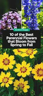 Part of that reasoning is selfish; Brilliant Diy Garden Gardener Gardening Ideas Long Blooming Perennials Low Maintenance Perennials Per In 2020 Best Perennials Flowers Perennials Autumn Garden