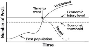 Integrated pest management (ipm) evolved as a response to these problems. Integrated Pest Management A Paradigm For Modern Age Intechopen