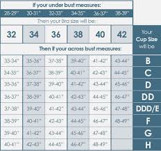 65 Prototypal Daisy Dee Bra Size Chart