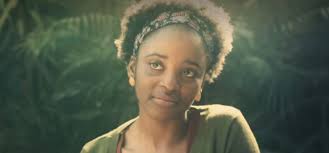 The best netflix movies that came out in 2019. Stream Or Skip It South African Series Shadow Is Now On Netflix
