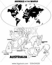Make a coloring book with world map poster for one click. Black And White Educational Cartoon Illustration Of Australian Animals And World Map With Continents Coloring Book Page Poster Id 336434026