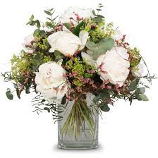 Um eingeschlagene wurzelware handelt, die noch keine/wenige neue wurzeln gebildet. Marchenhafte Pfingstrosen Hier Online Bestellen Lieferung Noch Gleichen Tag